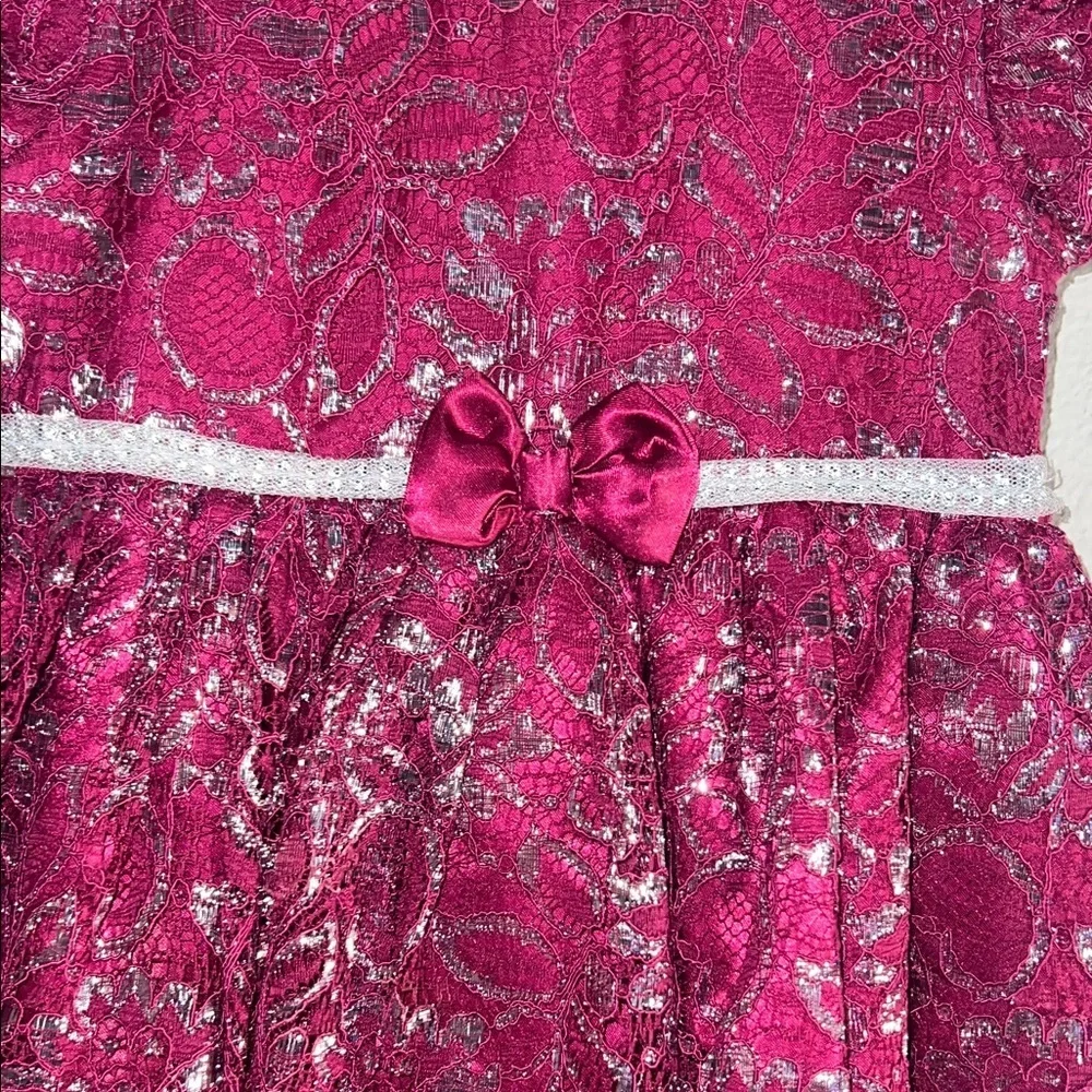 Elegant Burgundy Lace Kids Dress
